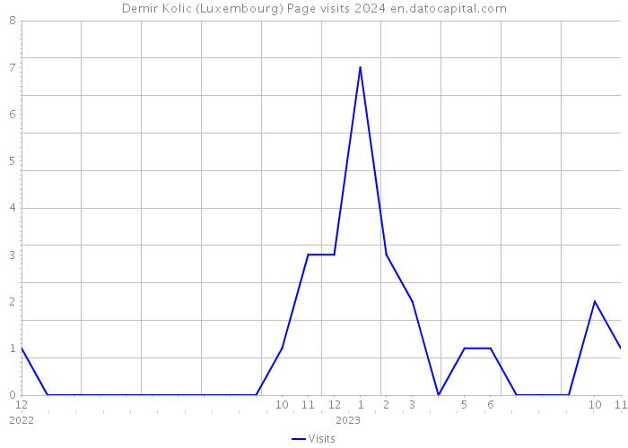 Demir Kolic (Luxembourg) Page visits 2024 