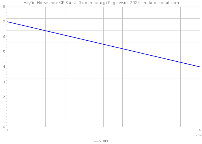 Hayfin Horseshoe GP S.à r.l. (Luxembourg) Page visits 2024 