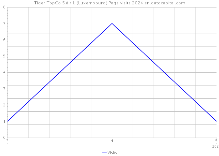 Tiger TopCo S.à r.l. (Luxembourg) Page visits 2024 