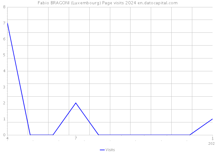 Fabio BRAGONI (Luxembourg) Page visits 2024 