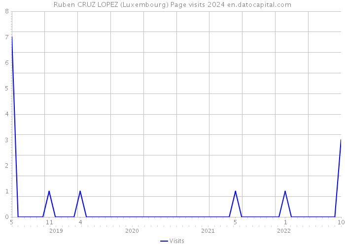 Ruben CRUZ LOPEZ (Luxembourg) Page visits 2024 
