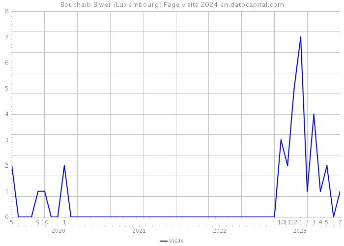 Bouchaib Biwer (Luxembourg) Page visits 2024 