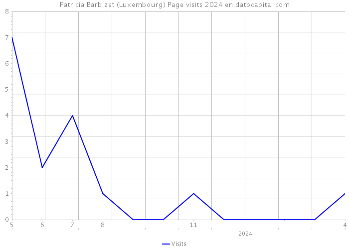 Patricia Barbizet (Luxembourg) Page visits 2024 