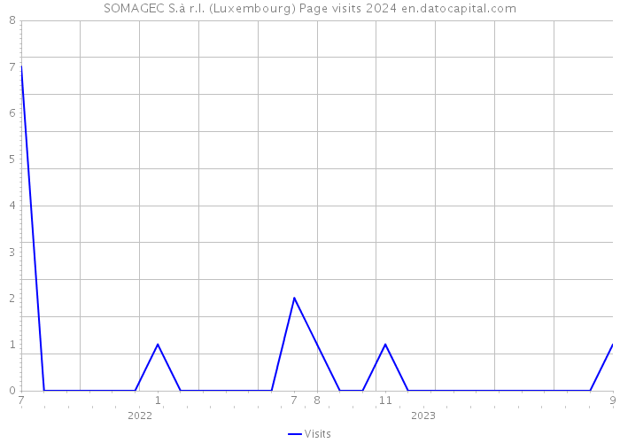 SOMAGEC S.à r.l. (Luxembourg) Page visits 2024 