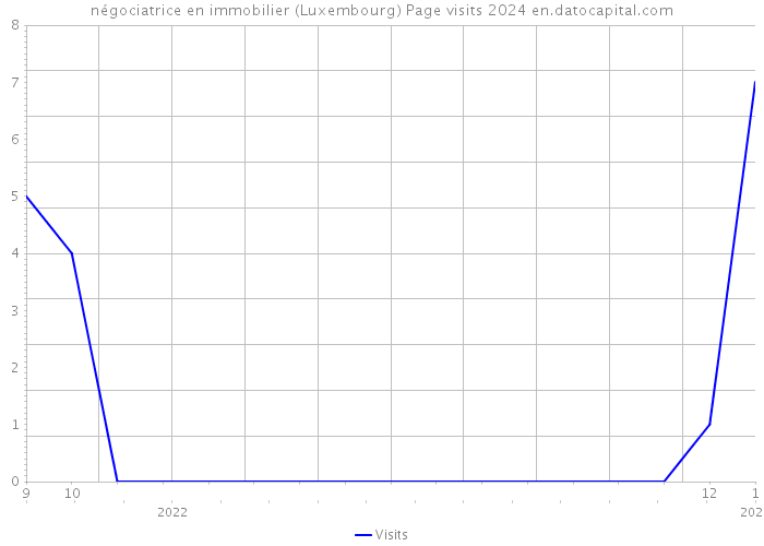 négociatrice en immobilier (Luxembourg) Page visits 2024 