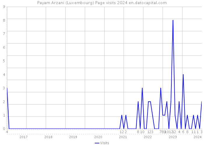 Payam Arzani (Luxembourg) Page visits 2024 