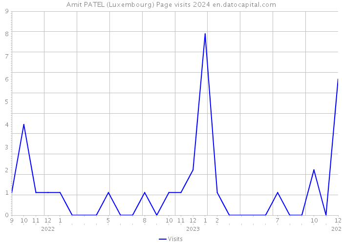 Amit PATEL (Luxembourg) Page visits 2024 