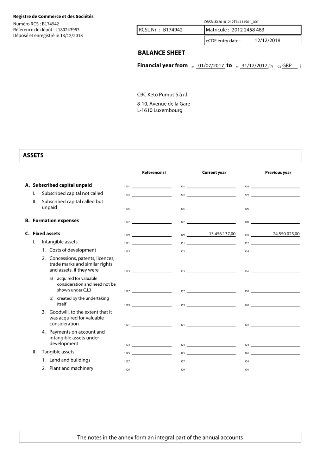 Balance sheet assets opening (page 2)