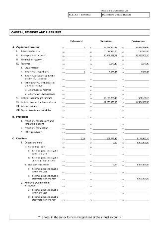 Capital reserves and creditors (page 5)